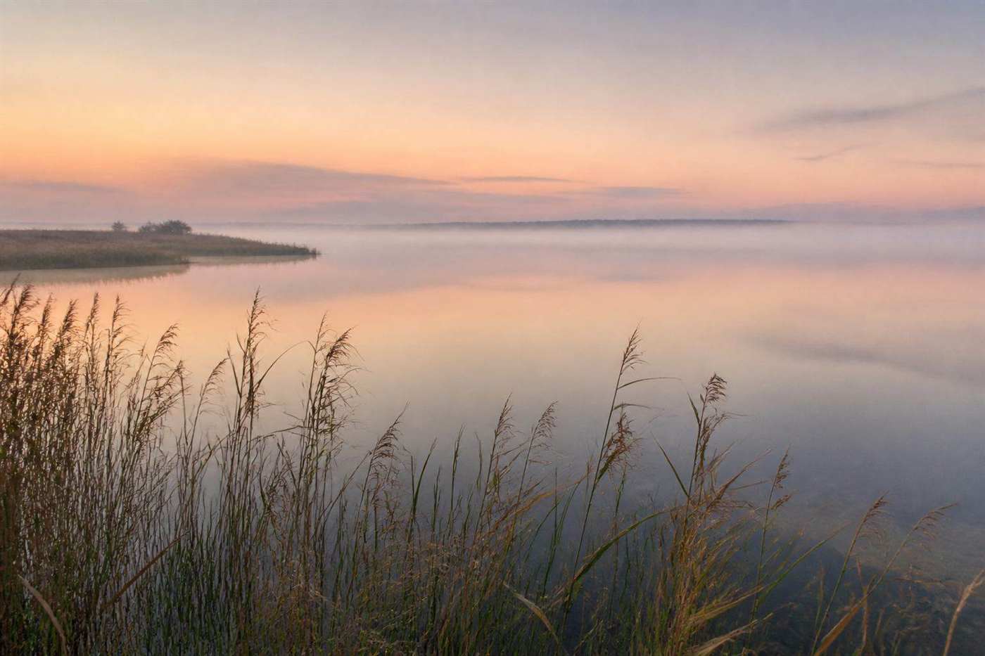 Утренний туман и тростник над лагуной Bodden